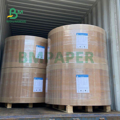 Taze Gıda Ambalajı İçin 270gsm Beyaz Dondurucu Kağıt Rulo Panosu Yüksek Toplu 30 X 22,5 &quot;