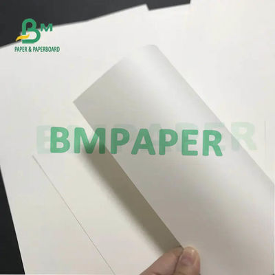 Beyaz Bardak Kağıt Ruloları 230g 250g 270g + 15g 20g PE Lamine Tek Taraf
