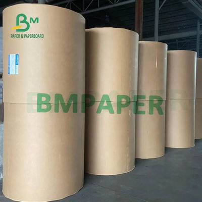 Beyaz Bardak Kağıt Ruloları 230g 250g 270g + 15g 20g PE Lamine Tek Taraf