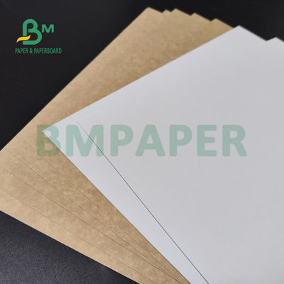 250gsm 300gsm C1S Kraft Geri Kaplamalı Dubleks Pano Salata Kutusu İçin Gıda Güvenli