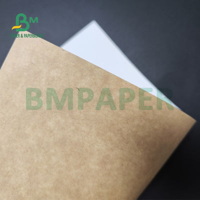 250gsm 300gsm C1S Kraft Geri Kaplamalı Dubleks Pano Salata Kutusu İçin Gıda Güvenli