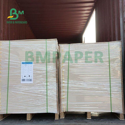 Emici Blotter Kaplanmamış Kağıt Karton 1.0mm 1.2mm Bira Paspasları İçin 615mm X 860mm
