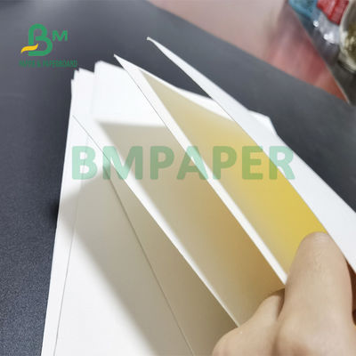 Emici Blotter Kaplanmamış Kağıt Karton 1.0mm 1.2mm Bira Paspasları İçin 615mm X 860mm