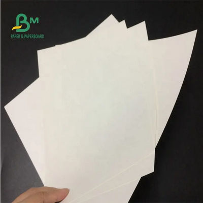 Bakire Beyaz Kraft Kağıt Rulo 24 X 35 İnç 150gsm 170gsm 190gsm Kağıt Torbalar İçin