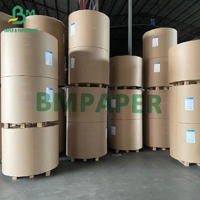 FBB SBS Fildişi Kurulu 200gsm - 400gsm 750mm 900mm Jumbo Rulolar