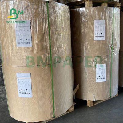 Kağıt Bardaklar için 210gsm + 15g PE Lamine Karton Gıda Sınıfı 882mm