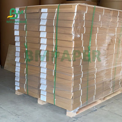 CAD Baskısı için 24 '' X 500 Ft Blueprint Plotter Kağıt Rulosu 80gsm
