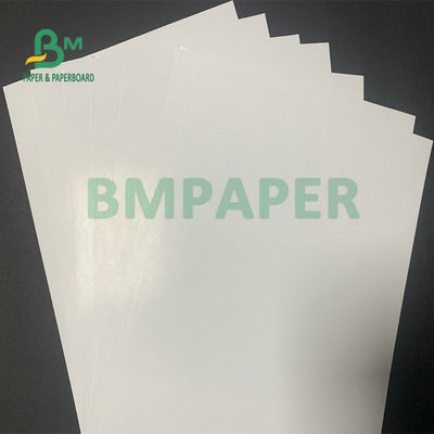 Dergi Baskısı için C2S Parlak Sanat Kağıt Kartı 300gsm 350gsm