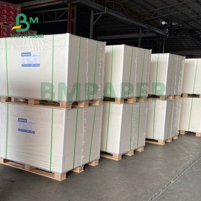 Gıda Sınıfı 135gsm + 10gsm PE Kaplamalı Bardak Kağıt Parlak ve Mat Kaplama