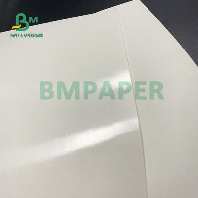Gıda Sınıfı 135gsm + 10gsm PE Kaplamalı Bardak Kağıt Parlak ve Mat Kaplama