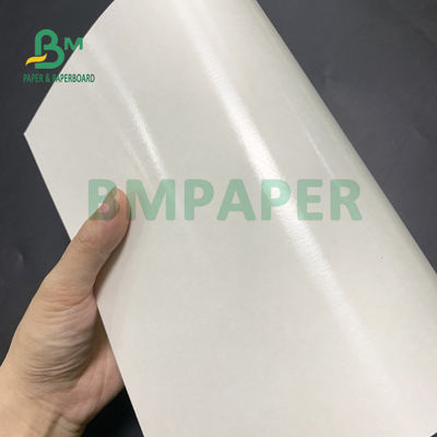 Gıda Sınıfı 135gsm + 10gsm PE Kaplamalı Bardak Kağıt Parlak ve Mat Kaplama