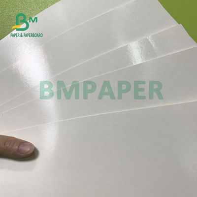 Gıda Sınıfı 135gsm + 10gsm PE Kaplamalı Bardak Kağıt Parlak ve Mat Kaplama