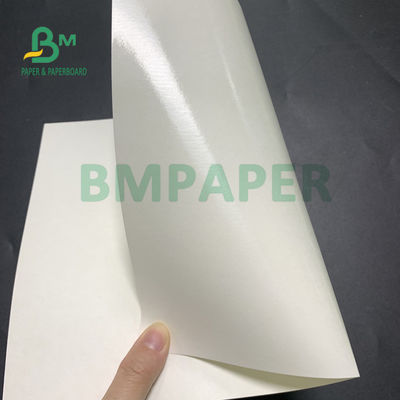 Çorba Kasesi için 135gsm + 20gsm Polietilen Kaplı Bardak Taban Kağıdı