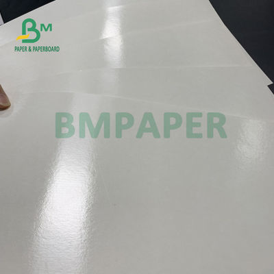 150gsm + 10gsm Gıdaya Uygun PE Kaplamalı Bardak İçme İçin Temel Kağıt