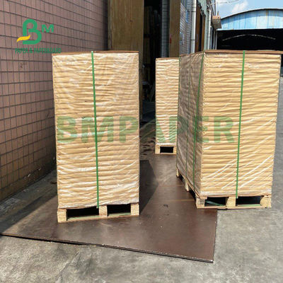 150gsm + 20gsm Ploy Kaplamalı Bardak Stok Kağıdı Dayanıklı 710mm X 900mm