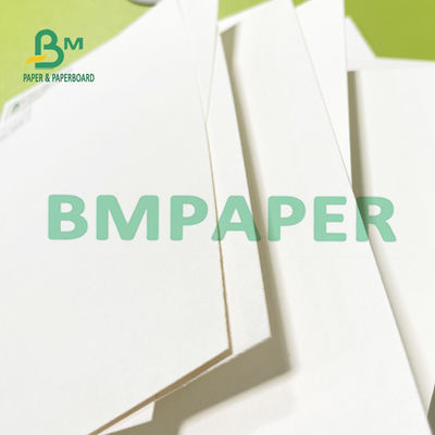 Çiçekleri Basmak İçin 8,26 x 11,8 İnç Yüksek Emici Kurutma Kağıdı