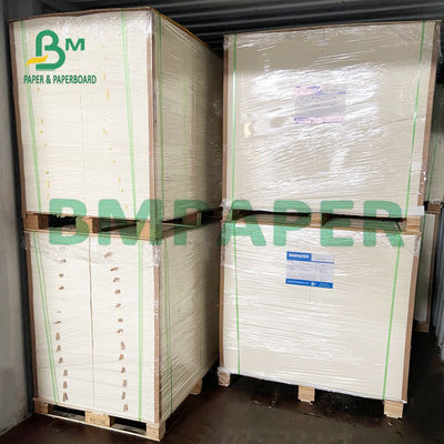 Çiçekleri Basmak İçin 8,26 x 11,8 İnç Yüksek Emici Kurutma Kağıdı