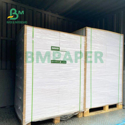 210gsm + 15gsm Bardak PE Film Kaplı Kağıt İyi Parlaklık 615mm X 850mm