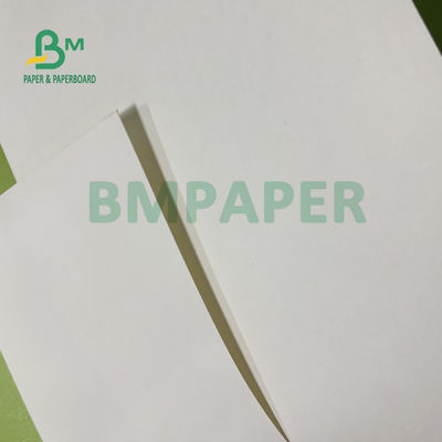 210gsm + 15gsm Bardak PE Film Kaplı Kağıt İyi Parlaklık 615mm X 850mm