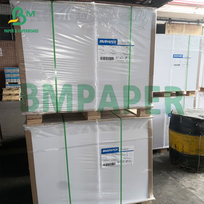 Çorba Kaseleri İçin 300gsm Kompostlanabilir Poli Kaplamalı Beyaz Karton Kağıt