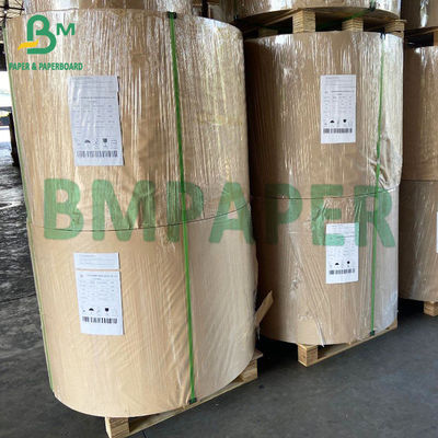 Çorba Kaseleri İçin 300gsm Kompostlanabilir Poli Kaplamalı Beyaz Karton Kağıt