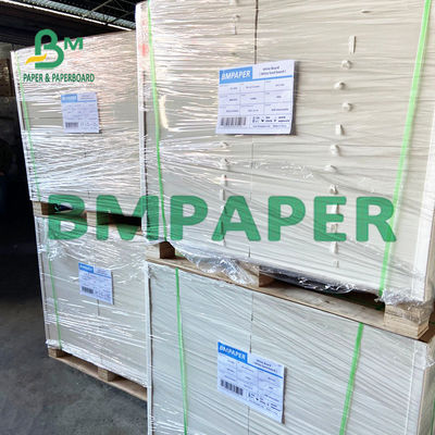 240 250 GSM Polycoated Cupstock Kuru Gıda Tepsileri İçin Kağıt Karton