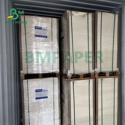 230gsm + 15gsm Dayanıklılık PE Kaplı Bardak Çorba Kasesi İçin Stok Kağıdı 560mm X 700mm
