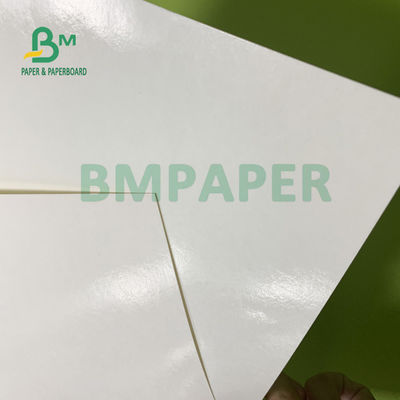 230gsm + 15gsm Dayanıklılık PE Kaplı Bardak Çorba Kasesi İçin Stok Kağıdı 560mm X 700mm