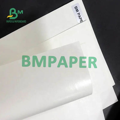 Beyaz Bardak Stok Kağıt Rulosu 200gsm + 15PE Tek Taraflı Kağıt Bardak İçin Kaplamalı