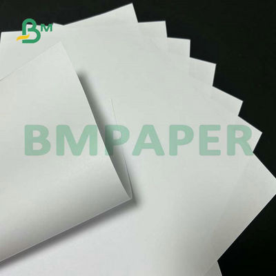 Okul Metin Baskısı İçin Geniş Format Kaplanmamış Woodfree Kağıt 55gsm 60gsm 65gsm