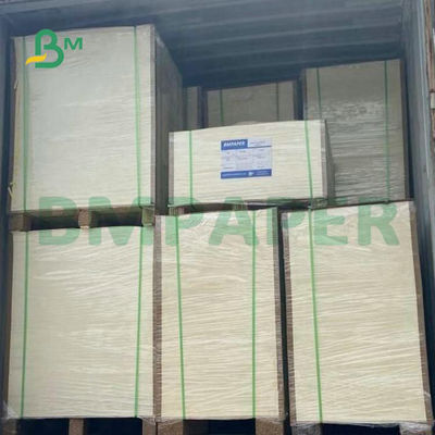 Okul Metin Baskısı İçin Geniş Format Kaplanmamış Woodfree Kağıt 55gsm 60gsm 65gsm