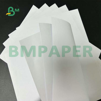 Okul Metin Baskısı İçin Geniş Format Kaplanmamış Woodfree Kağıt 55gsm 60gsm 65gsm