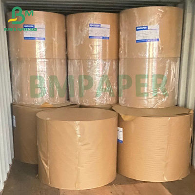 Beyaz Karton Fildişi Karton Kağıt 250gsm C1S FBB Kapak Stok Panosu