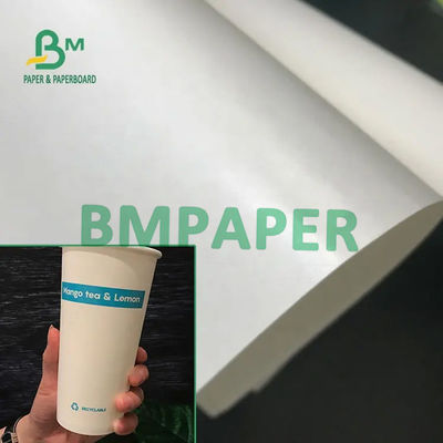 Gıda Sınıfı 210 / 230g + 15g Poli Kaplamalı Beyaz Bardak Stok Kağıt Karton Bardak Kağıt Kase Kağıdı Ruloları