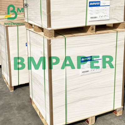 180gsm + 15g PE Erişte Kase Bardak Stok Kağıt Panosu Sıcak Yemek İçin