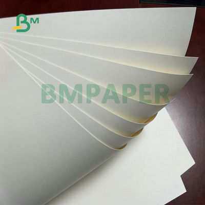 PE 1 PE 2 Kaplama Erişte Kase Kupası Gıda Kapları İçin Stok Kağıt Karton 255gsm 275gsm