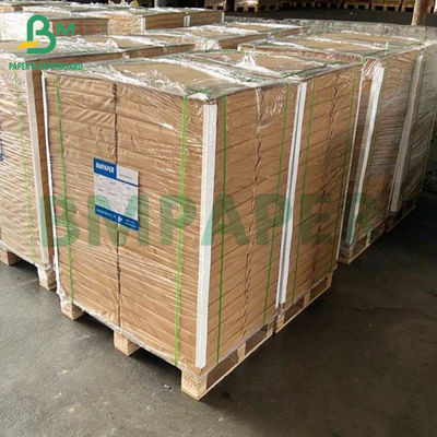 Gıda Sınıfı Beyaz Kaplamalı Öğle Yemeği Yemek Kutusu Kağıt tahtası 270gsm 300gsm