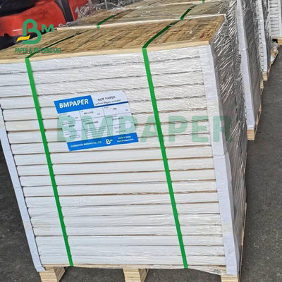55gm 60gm Çoklu Kopya NCR Karbonsuz Kopya Kağıdı Mavi veya Siyah Resim 860 x 610mm