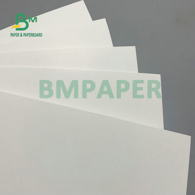 275gm + 15gm PE Polyboard 1 Yan PE Kaplı Dondurulmuş Gıdalar için Dondurulmuş Dondurulmuş Beyaz Karton