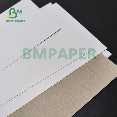 350gm Pasta Kutusu için Kil kaplı Dupleks Karton Sert Sertlik 70 x 100cm