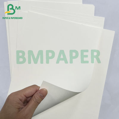 100grs 200grs Geri dönüştürülebilir Gıda Sınıfı Bagasse Pulp Beyaz Kağıt Rulo