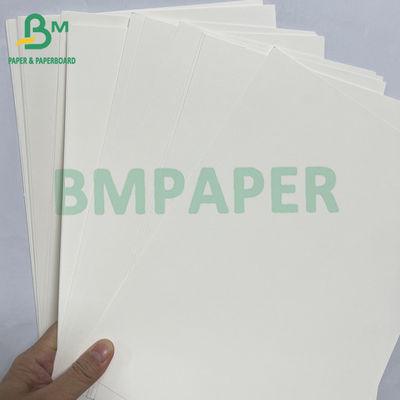 100grs 200grs Geri dönüştürülebilir Gıda Sınıfı Bagasse Pulp Beyaz Kağıt Rulo