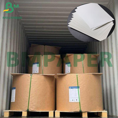 300g+15g PE Mat Tek Yolu Kaplı Gıda Paketleme Kağıdı Beyaz Karton