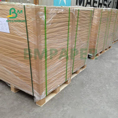 80gm C1S İçecek Etiketleri için Yüksek Parlak Kaplı Beyaz Kağıt 70 x 100cm
