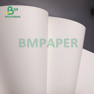 130um Mat Sentetik Polipropilen Su geçirmez PP Kartal Kağıdı 24cm x 58cm