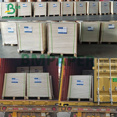 PE kaplı Dondurulmuş Gıda Kaliteli Kağıt Ekolojik Dost Deniz Ürünleri Soğuk Paketleme Kağıdı 275g + 15g PE