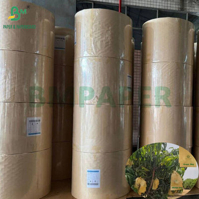 Mango Büyüme Koruma Çantası Parlak 30gm İç Kara Kağıt Rulo Güneş geçirmez
