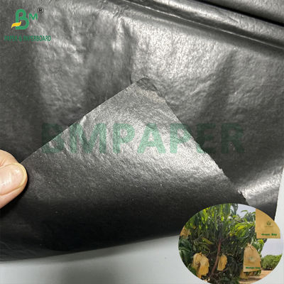 Mango Büyüme Koruma Çantası Parlak 30gm İç Kara Kağıt Rulo Güneş geçirmez