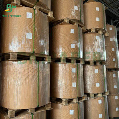 130g 300g Doğal Şeker Çalı Bagasse Mürekkep Kağıdı Gıda Tabakları için Rulolar Biyolojik Bozulur Karton