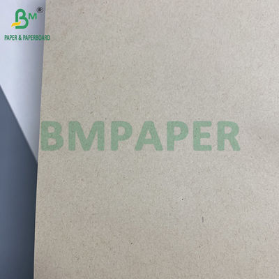 130g 300g Doğal Şeker Çalı Bagasse Mürekkep Kağıdı Gıda Tabakları için Rulolar Biyolojik Bozulur Karton